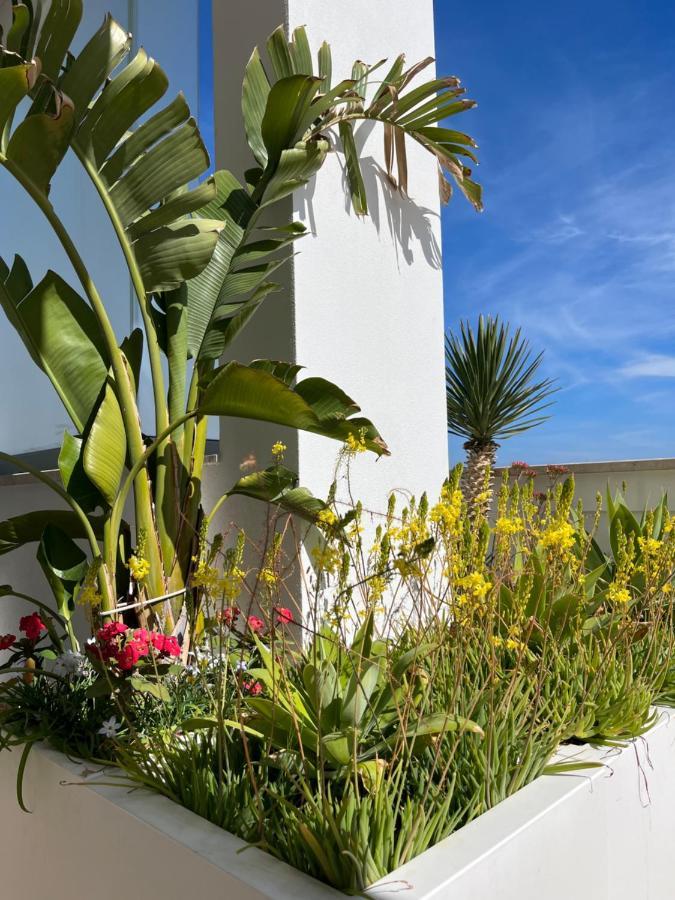 Sky Garden Locazione Turistica Apartment Polignano a Mare Ngoại thất bức ảnh